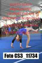 CS3_11734-