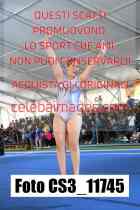 CS3_11745-