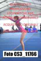 CS3_11766-