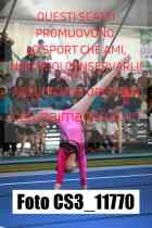 CS3_11770-
