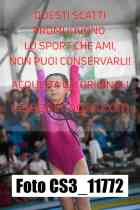 CS3_11772-