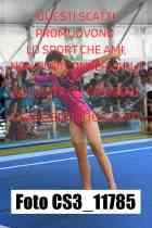CS3_11785-
