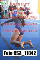 CS3_11842-