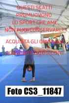 CS3_11847-
