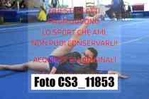 CS3_11853-