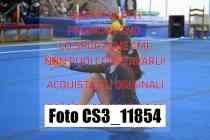 CS3_11854-