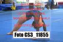 CS3_11855-