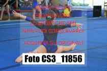CS3_11856-