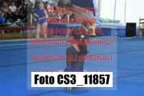 CS3_11857-