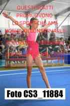 CS3_11884-
