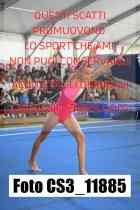 CS3_11885-