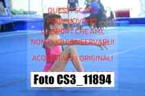 CS3_11894-