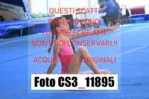 CS3_11895-