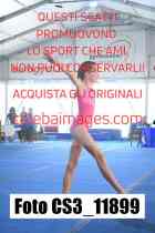 CS3_11899-