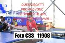 CS3_11908-