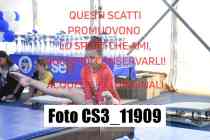 CS3_11909-