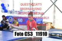 CS3_11910-