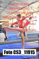CS3_11915-