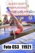 CS3_11921-