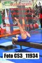 CS3_11934-