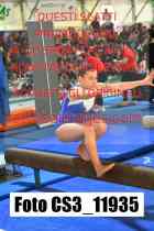 CS3_11935-