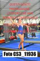 CS3_11936-