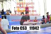 CS3_11942-