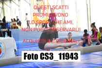 CS3_11943-