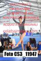 CS3_11947-