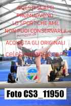 CS3_11950-