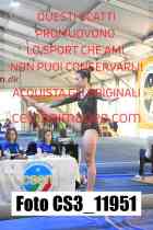 CS3_11951-