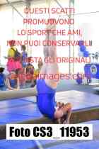 CS3_11953-