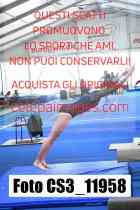 CS3_11958-