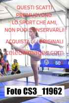 CS3_11962-