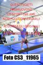 CS3_11965-
