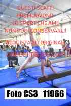 CS3_11966-