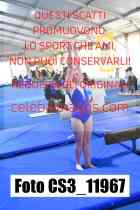 CS3_11967-