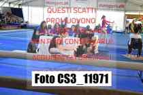 CS3_11971-