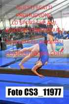 CS3_11977-