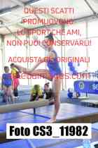 CS3_11982-