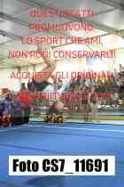 CS7_11691-