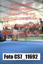 CS7_11692-