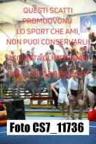 CS7_11736-