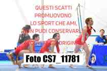 CS7_11781-