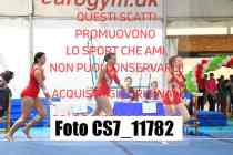CS7_11782-