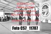 CS7_11787-
