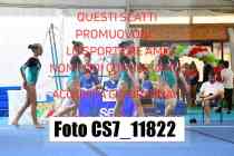 CS7_11822-