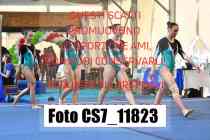 CS7_11823-