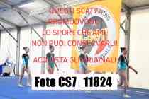 CS7_11824-