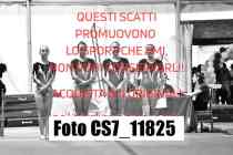 CS7_11825-